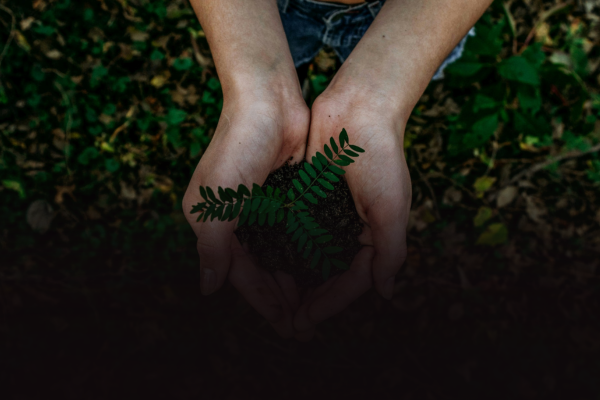 Vers des évènements plus responsables en 2026 : les 7 actions qui font la différence